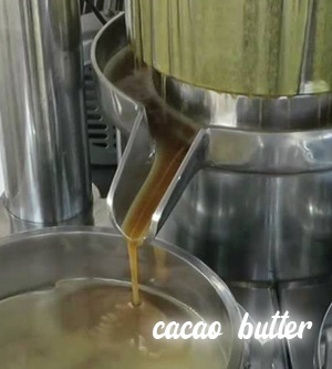 Cacao butter yang dihasilkan dari cacao liquor