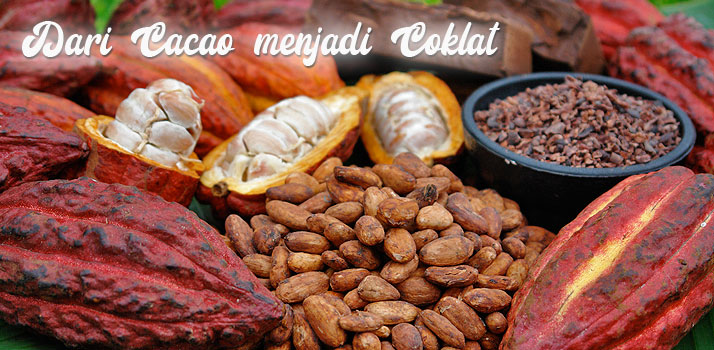 Mengenal jenis coklat Colatta dan Fungsinya